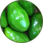 5 Avocados